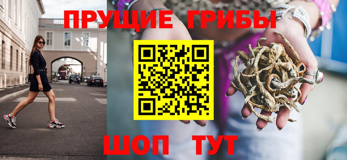 Карпинск  Псилоцибиновые грибы Magic Shrooms  дарнет шоп  Вход с VPN  Псилоцибиновые грибы Psilocybine cubensis 